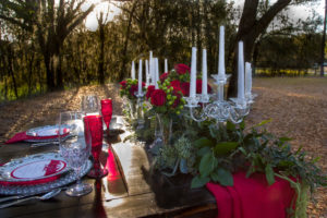 Elegant Vintage table setting